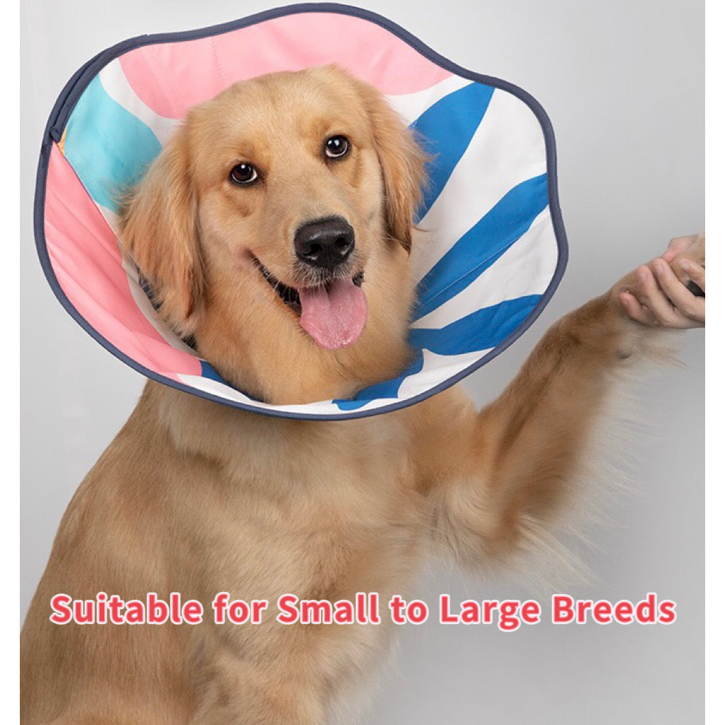 Large breed dog cone hotsell