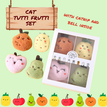 Cute Cat Toy Gift Box with Catnip and Bell (Tutti Frutti)