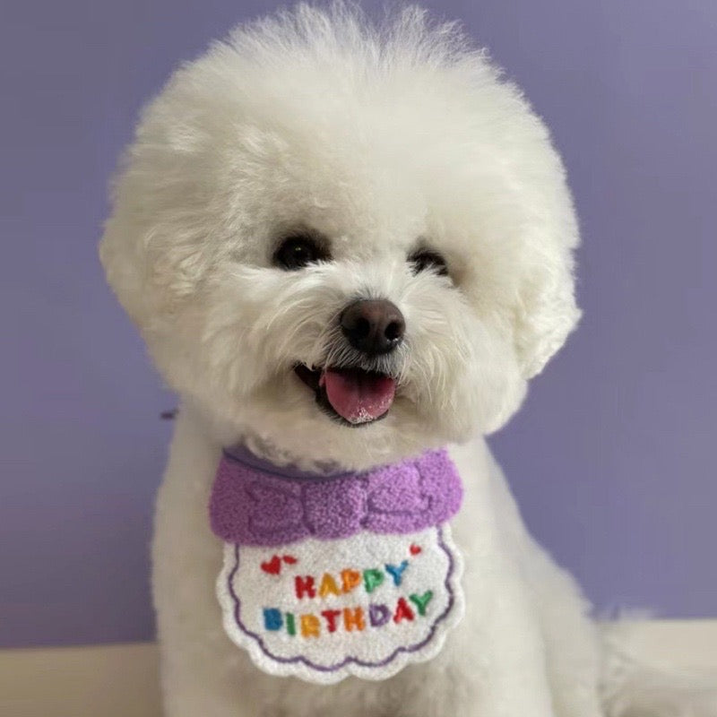 Adorable Birthday Bandana & Party Hat for Dog/Cat