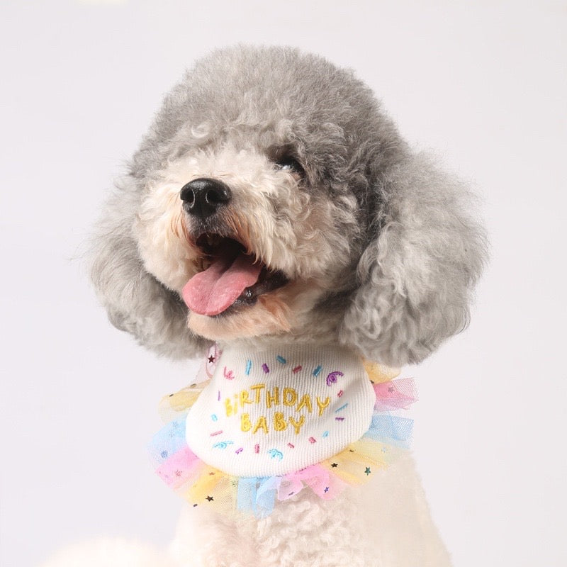 Dog Cat Birthday Bandana Bib Party S/M/L