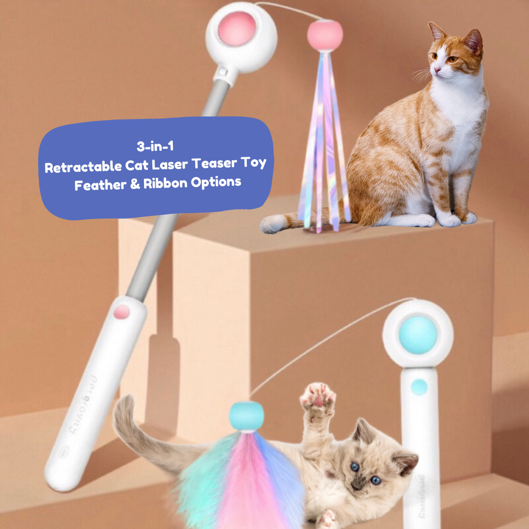 3-in-1 Retractable Cat Laser Teaser Toy Feather & Ribbon Options