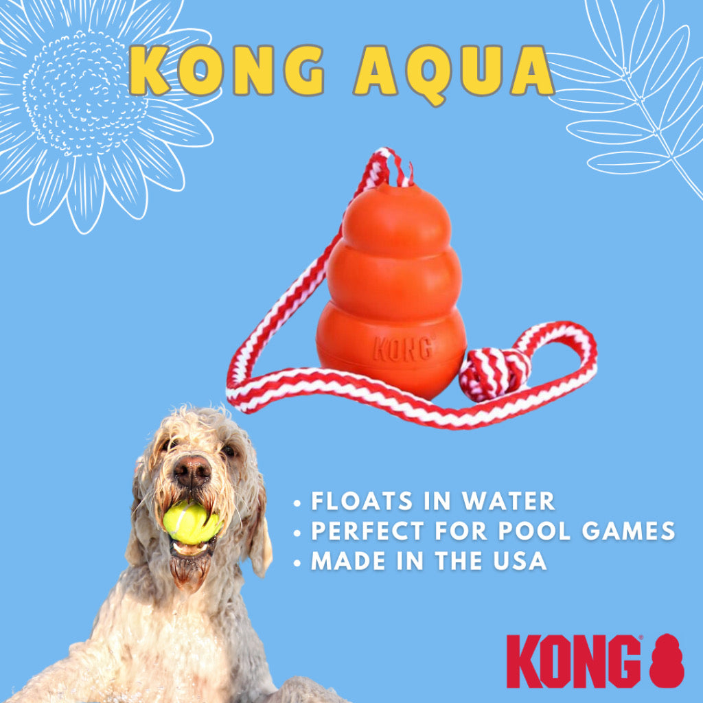 Kong Dog Rubber Chew Toy* Made in USA* (Kong Aqua)