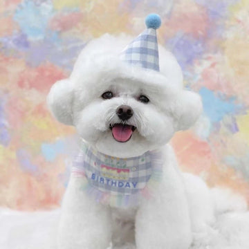 Adorable Birthday Bandana & Party Hat for Dog/Cat