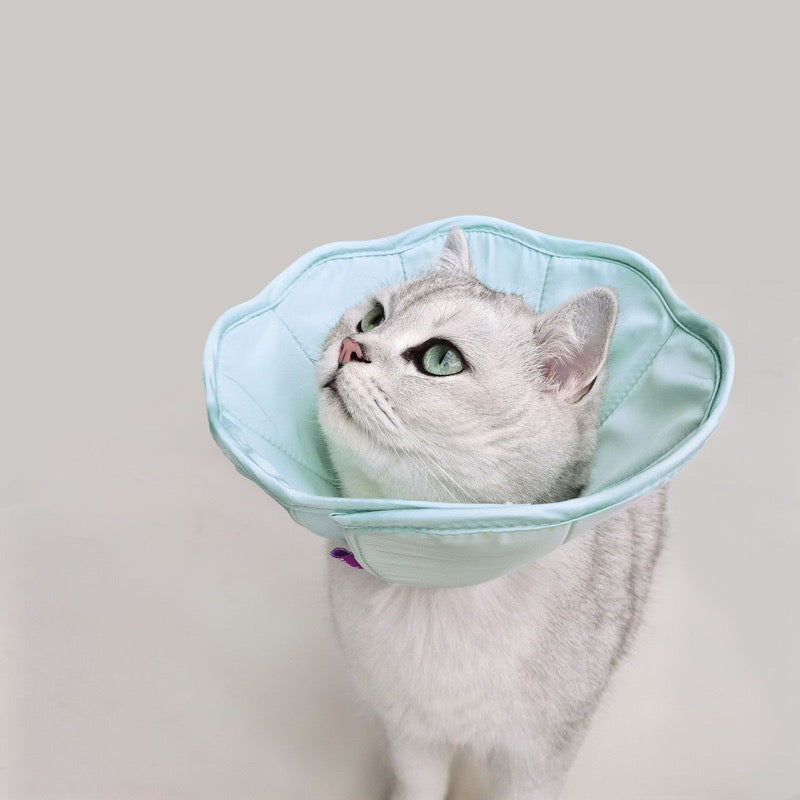 Comfy Soft Cone Elizabethan Collar Recovery Collar for Post Surgery Dogs/ Cats