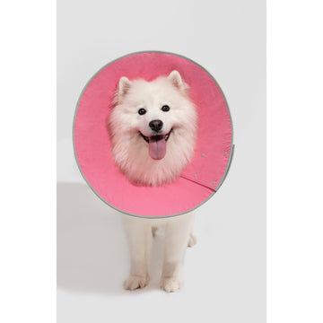 Hidream Soft Cone No Velcro Elizabethan Collar Recovery for Post Surgery Dogs/ Cats Large Breed