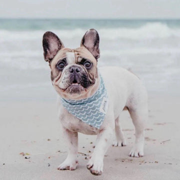 The Paws Perfect Waves Bandana for Dogs/ Cats *Handmade in Bali* Birthday/ Valentine's Day*