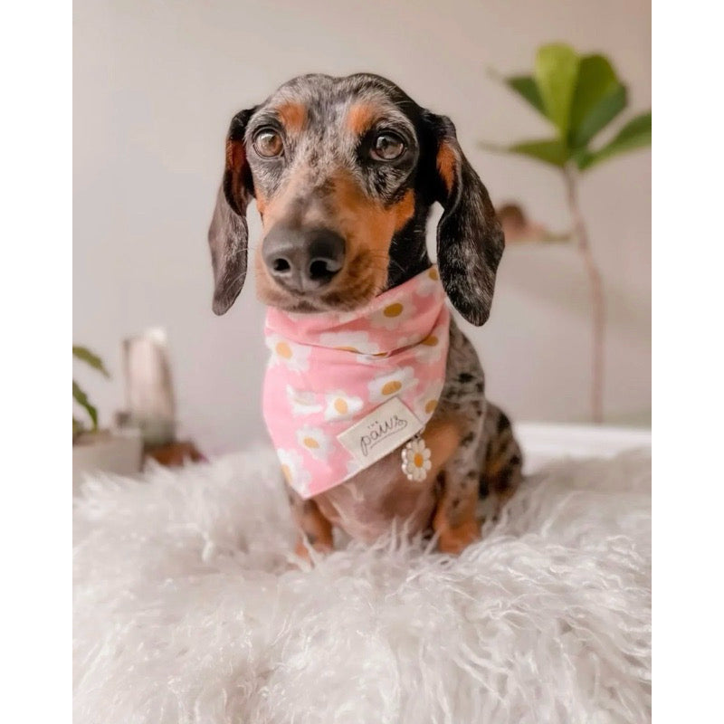 The Paws Pink Daisy Chains Bandana for Dogs/ Cats *Handmade in Bali* Birthday/ Valentine's Day*