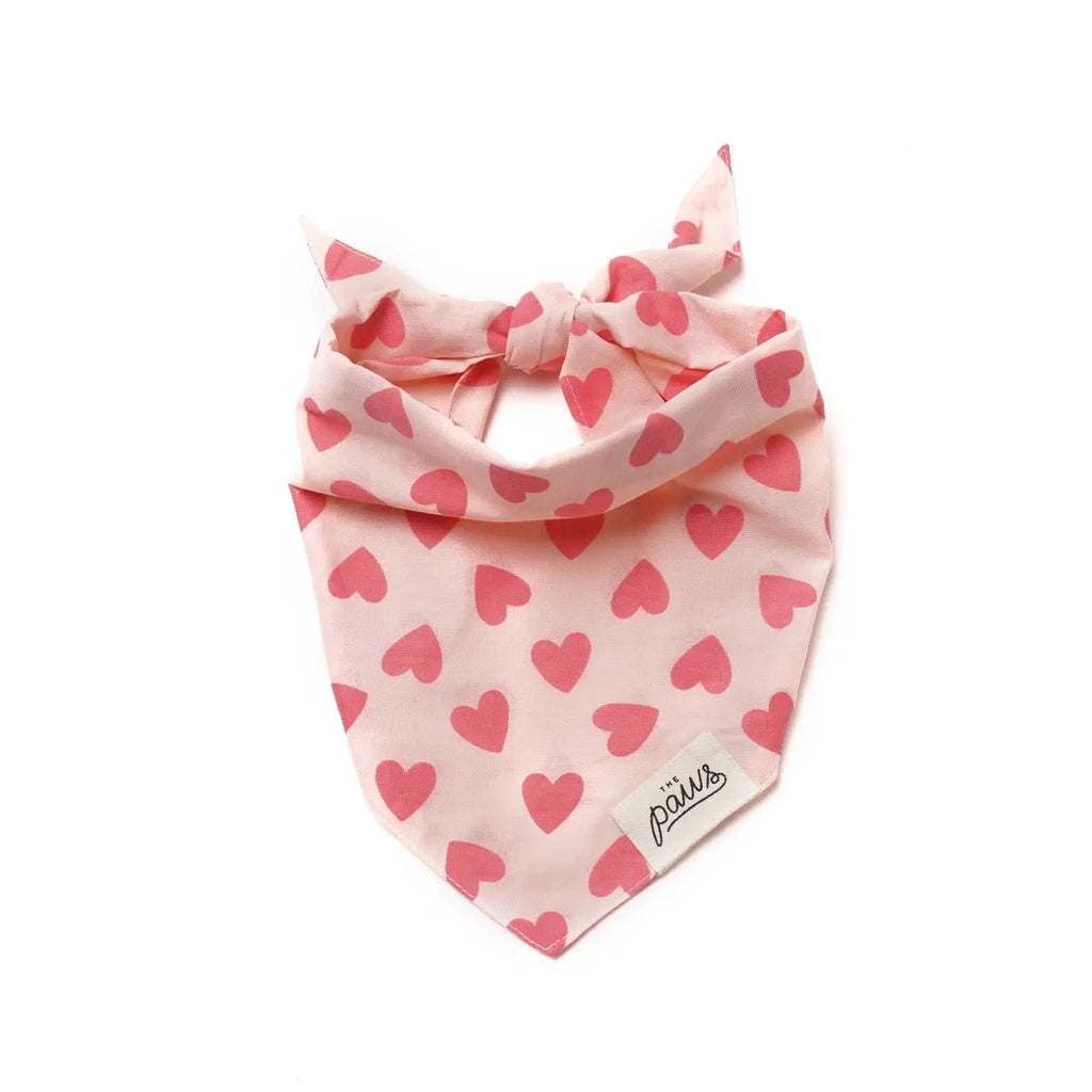 The Paws Miss Muffy Bandana for Dogs/ Cats *Handmade in Bali* Birthday/ Valentine's Day*