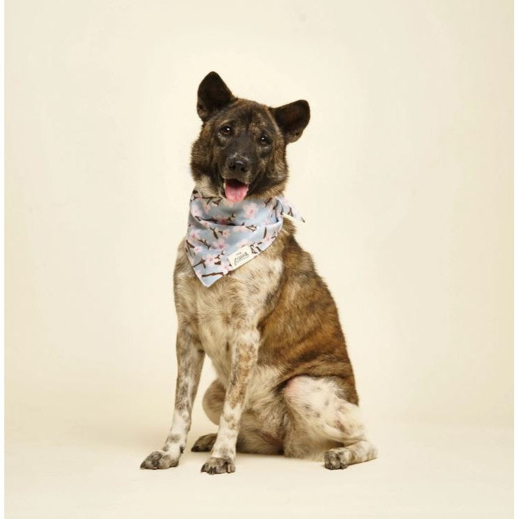 The Paws Cherry Blossom Bandana for Dogs/ Cats *Handmade in Bali* Birthday/ Valentine's Day*