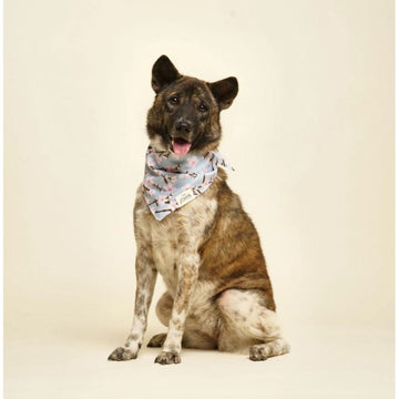 The Paws Cherry Blossom Bandana for Dogs/ Cats *Handmade in Bali* Birthday/ Valentine's Day*