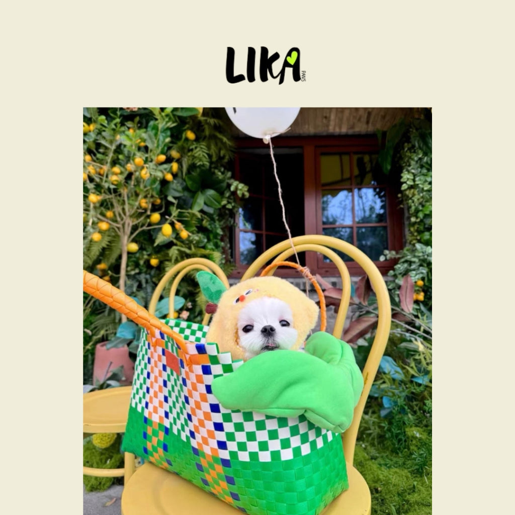 Likapaws Pet Carrier for Small Medium Breed Dogs