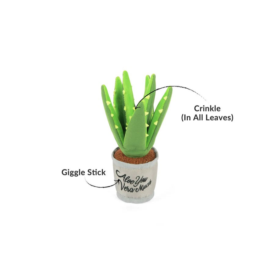 P.L.A.Y Blooming Buddies Aloe-ve You Plant Dog Toy