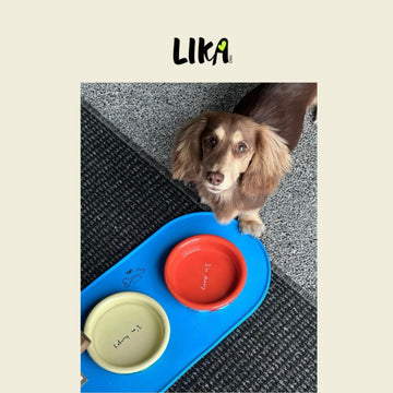 Likapaws Ceramic Feeding Bowl and Placemat for Pets Cats / Dogs