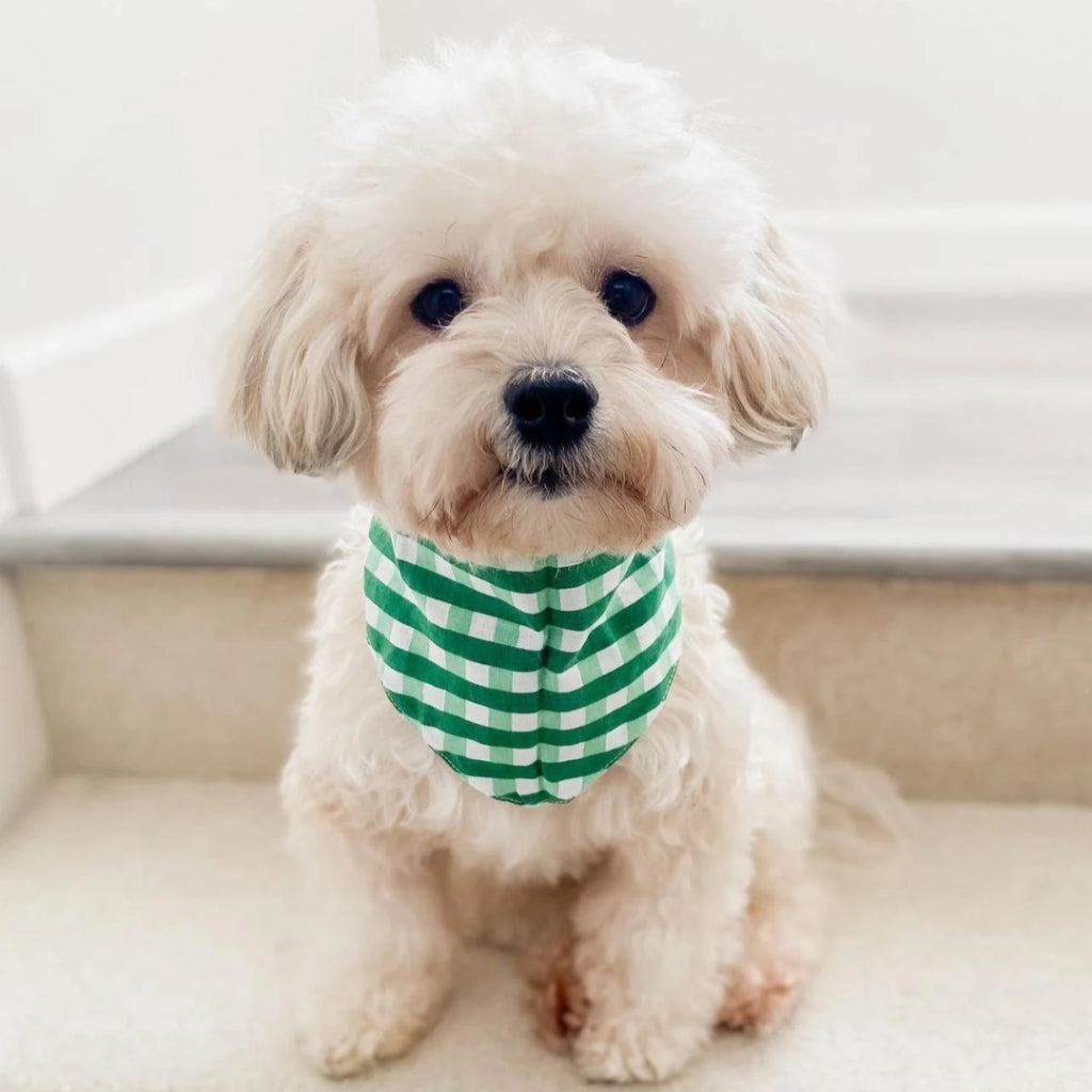 The Paws Classic Green Check Birthday Bandana for Dogs/ Cats *Handmade in Bali*