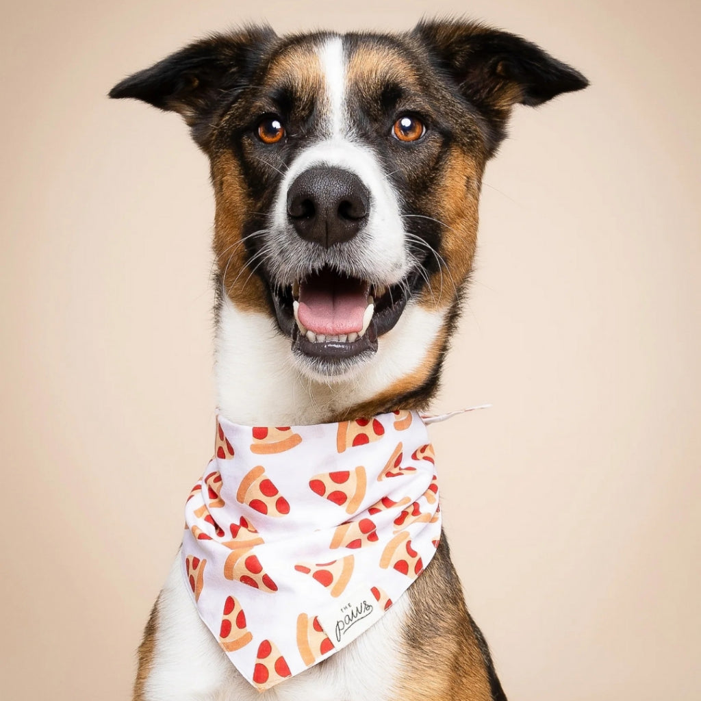 The Paws Pizza Birthday Bandana for Dogs/ Cats *Handmade in Bali*