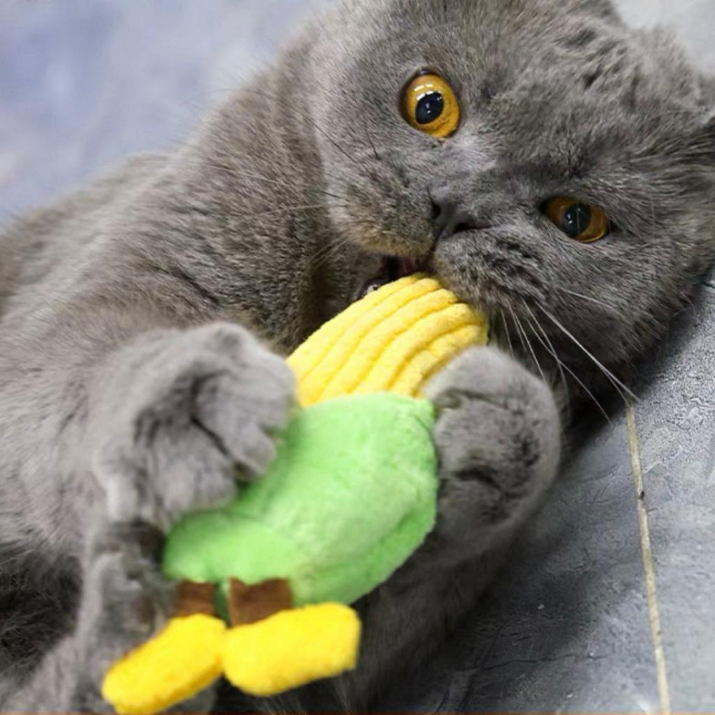 Qmonster Vegetable Catnip Toy