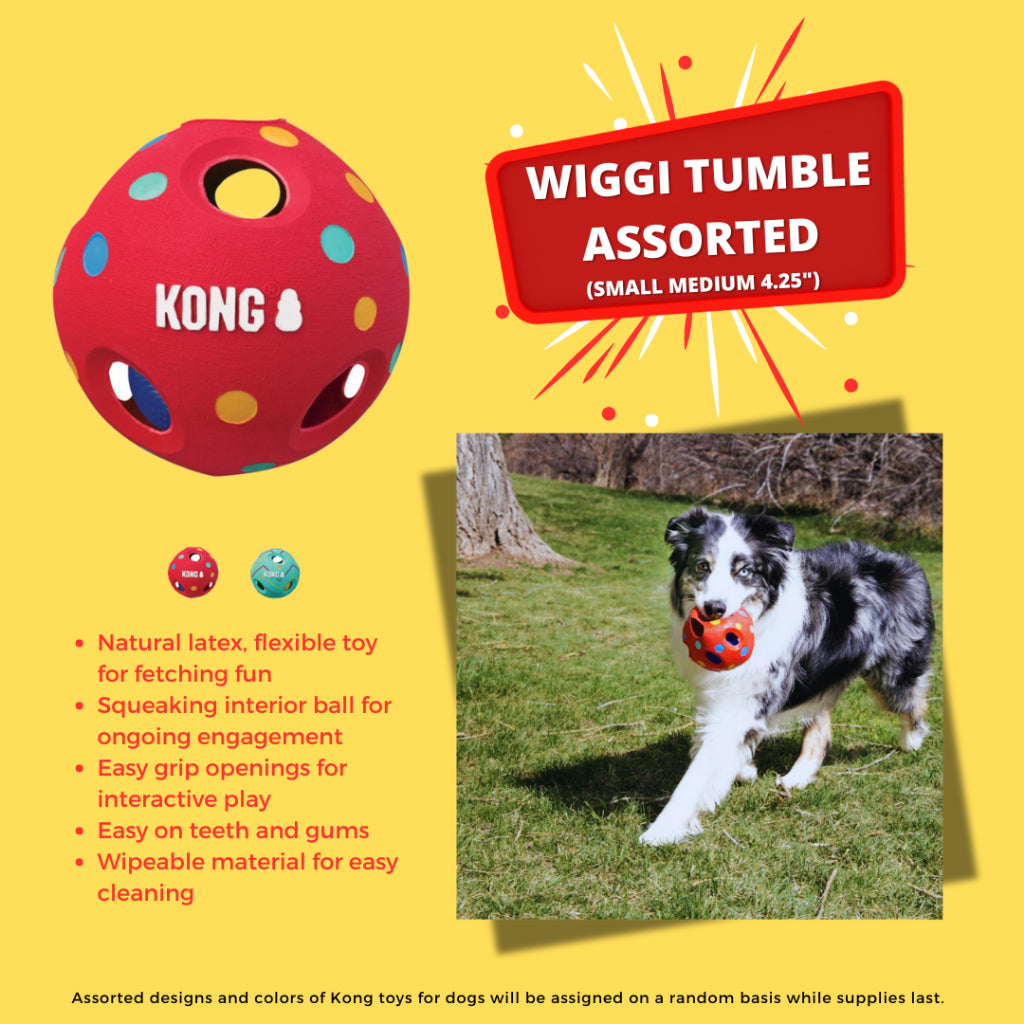 Clearance Alert: Ultimate Kong Mystery Dog Toy – Unbeatable Prices, Limited Stock!