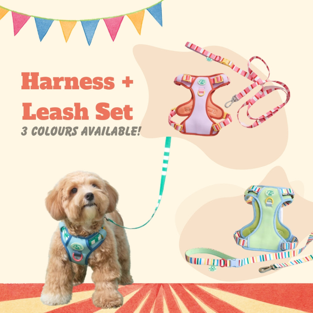 Doggu Pets Harness and Leash Set Dogs / Cats